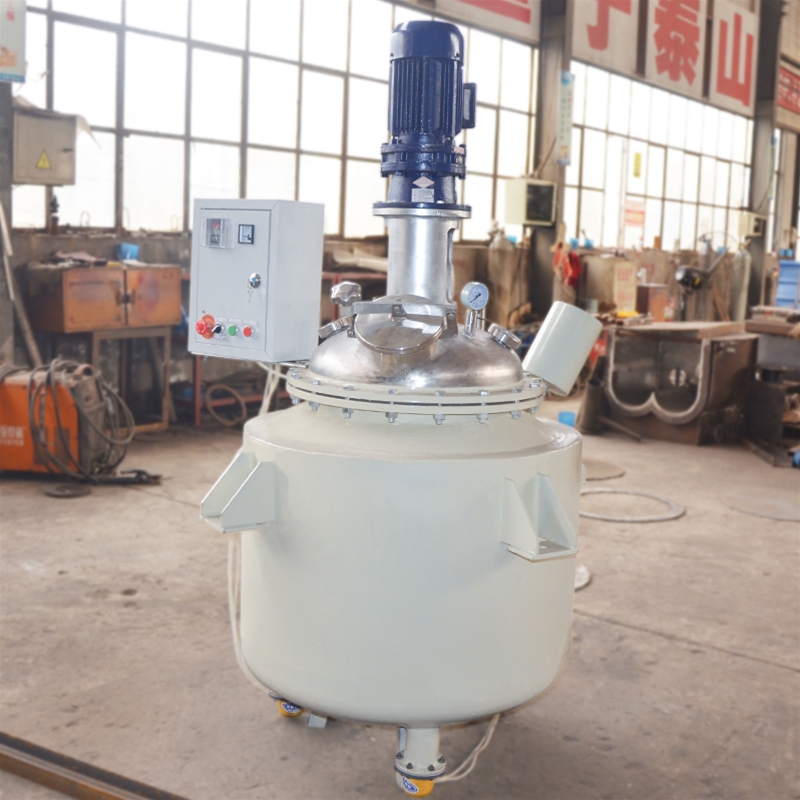 stainless steel reactor